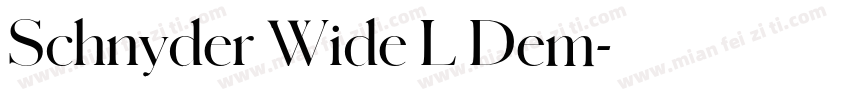 Schnyder Wide L Dem字体转换